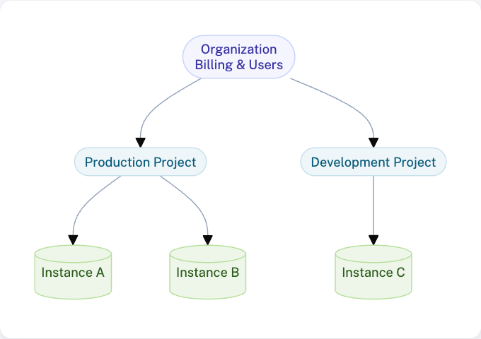 Console hierarchy showing organizations