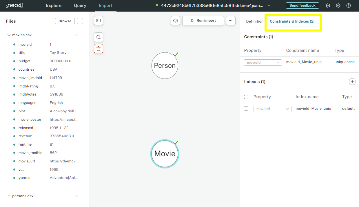 Constraints & Indexes tab in Data Importer