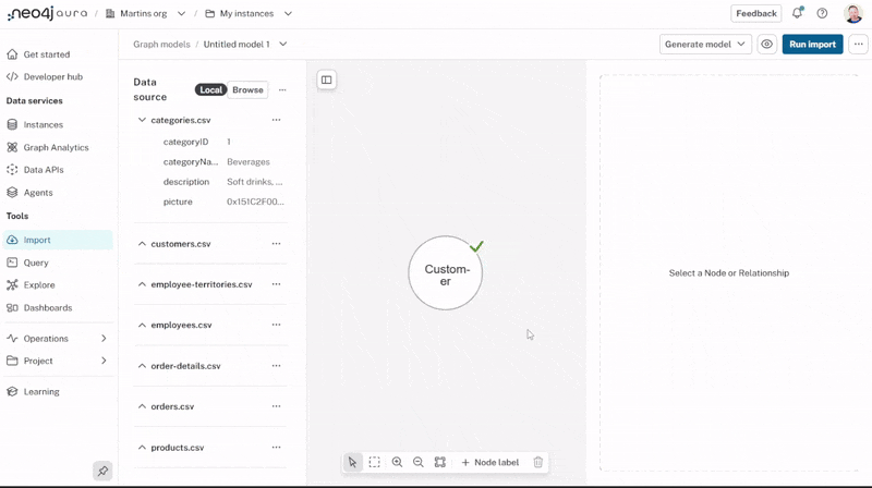 Selecting the customer and showing the data model details